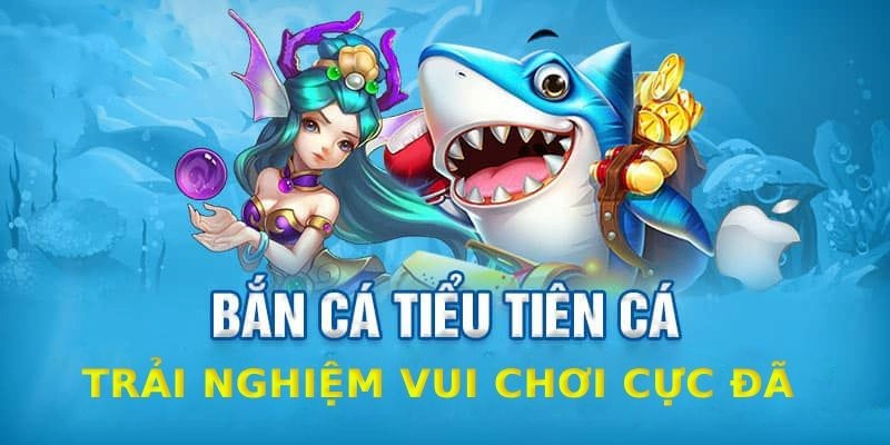 Hướng dẫn chơi game bắn cá tiểu tiên cá